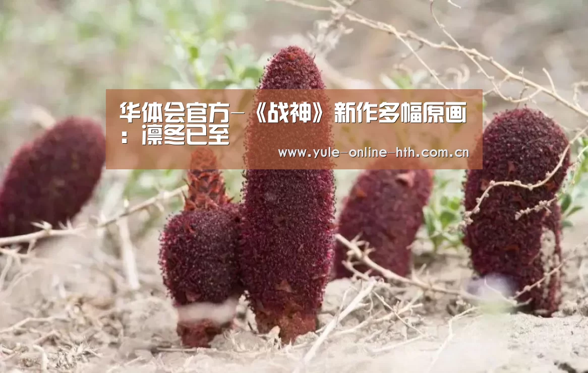 华体会官方-《战神》新作多幅原画:凛冬已至(图4) 华体会登录