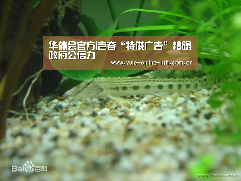 华体会官方